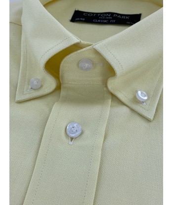 Chemise classique col bouton oxford jaune Amélioration de cerveau avec